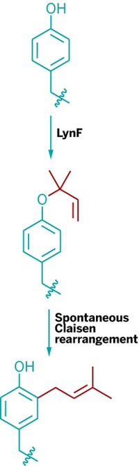 Serving the chemical, life science, and laboratory worlds