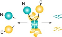 Serving the chemical, life science, and laboratory worlds
