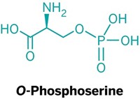 Serving the chemical, life science, and laboratory worlds