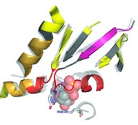 Serving the chemical, life science, and laboratory worlds