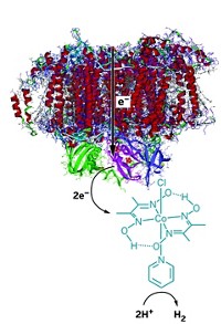 Serving the chemical, life science, and laboratory worlds