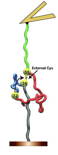 Serving the chemical, life science, and laboratory worlds