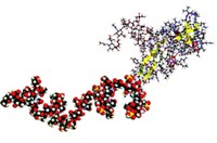 Serving the chemical, life science, and laboratory worlds