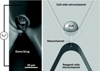 Serving the chemical, life science, and laboratory worlds