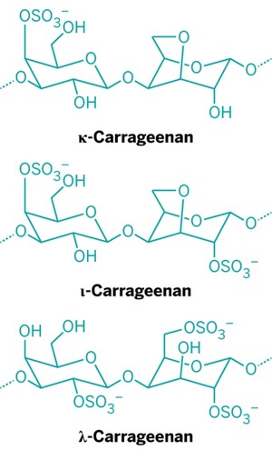 Carrageenan: What is it and is it a Harmful Substance? 