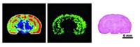 Serving the chemical, life science, and laboratory worlds