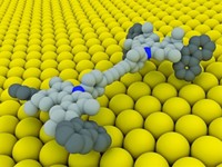 Serving the chemical, life science, and laboratory worlds