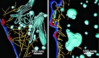 Serving the chemical, life science, and laboratory worlds