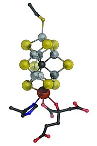 Serving the chemical, life science, and laboratory worlds