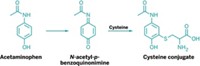 Serving the chemical, life science, and laboratory worlds