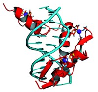 Serving the chemical, life science, and laboratory worlds