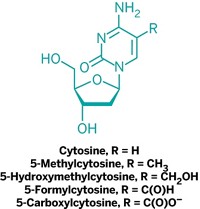 Serving the chemical, life science, and laboratory worlds