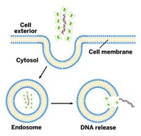 Serving the chemical, life science, and laboratory worlds