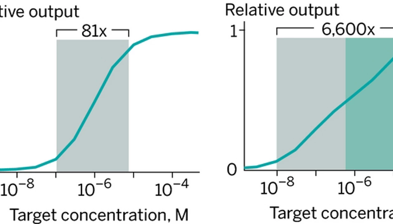 Choose Your Own Analytical Range
