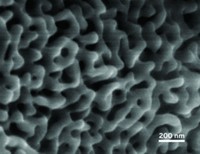 Serving the chemical, life science, and laboratory worlds