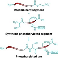 Serving the chemical, life science, and laboratory worlds