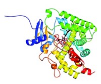 Serving the chemical, life science, and laboratory worlds