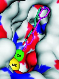 Serving the chemical, life science, and laboratory worlds