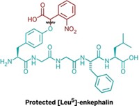 Serving the chemical, life science, and laboratory worlds