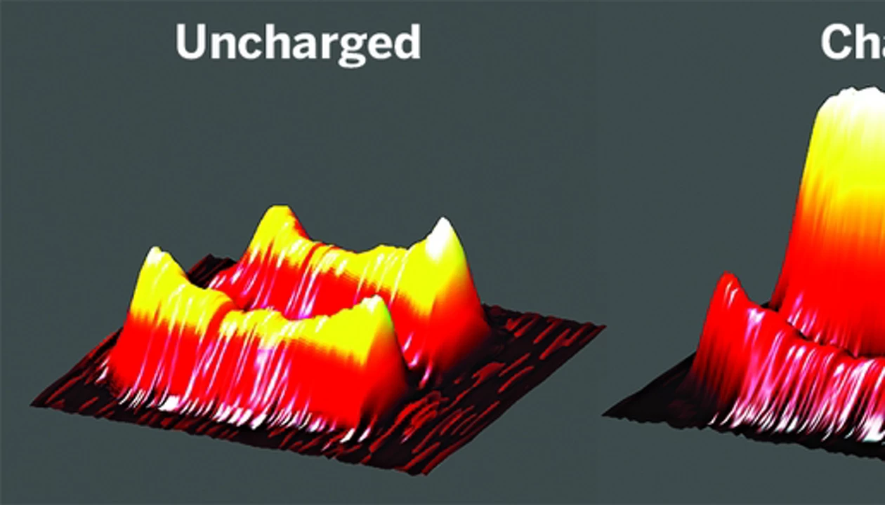 3-D View Inside A Battery