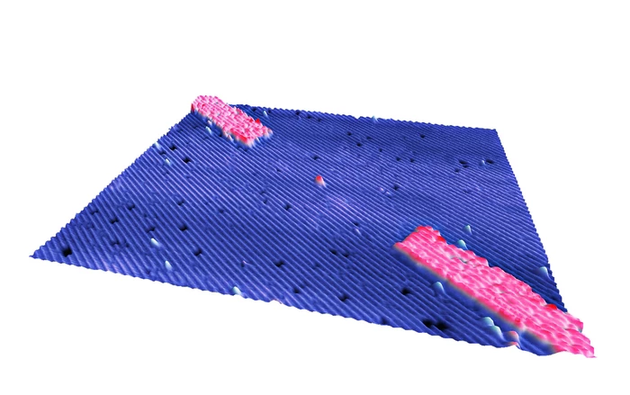 Single-Atom Transistor