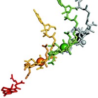 Serving the chemical, life science, and laboratory worlds