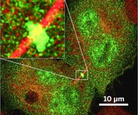 Serving the chemical, life science, and laboratory worlds