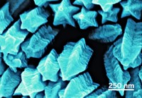 Serving the chemical, life science, and laboratory worlds