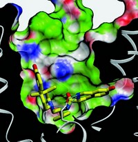 Serving the chemical, life science, and laboratory worlds