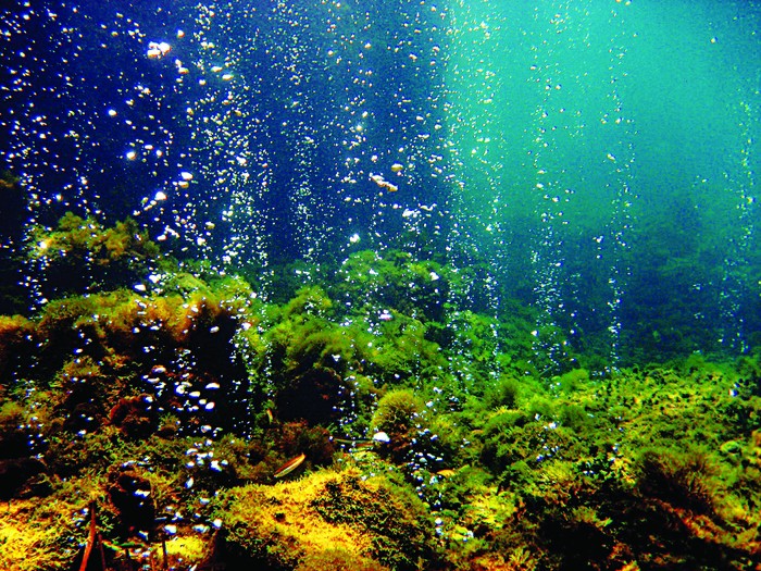 The Mediterranean Sea Is So Hot, It's Forming Carbonate Crystals