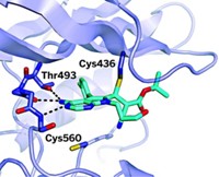 Serving the chemical, life science, and laboratory worlds