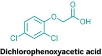 Serving the chemical, life science, and laboratory worlds
