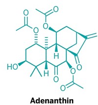 Serving the chemical, life science, and laboratory worlds