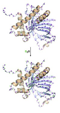 Serving the chemical, life science, and laboratory worlds