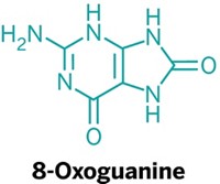 Serving the chemical, life science, and laboratory worlds