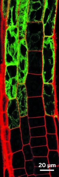 Serving the chemical, life science, and laboratory worlds
