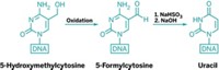 Serving the chemical, life science, and laboratory worlds