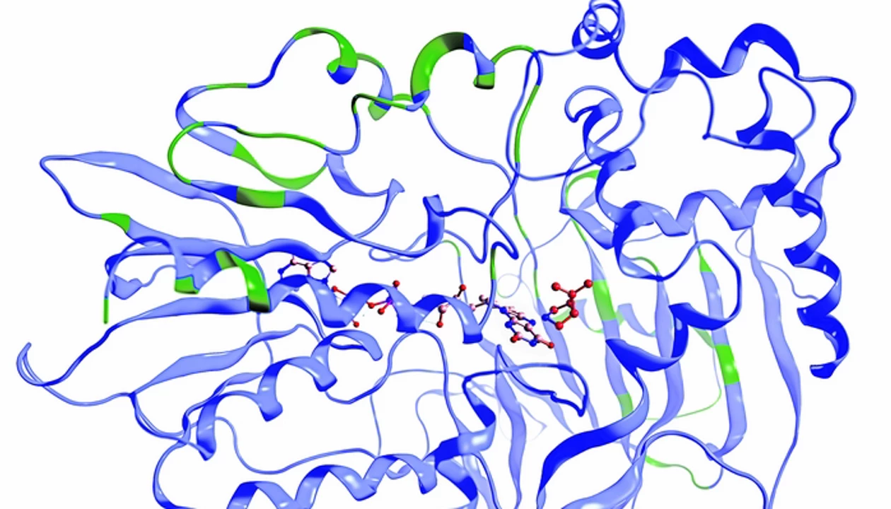 Biocatalysis
