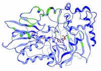 Serving the chemical, life science, and laboratory worlds