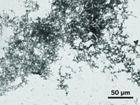 Serving the chemical, life science, and laboratory worlds