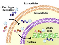 Serving the chemical, life science, and laboratory worlds