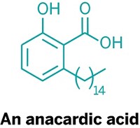 Serving the chemical, life science, and laboratory worlds