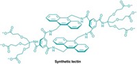Serving the chemical, life science, and laboratory worlds