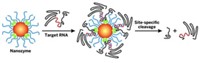 Serving the chemical, life science, and laboratory worlds