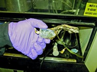 Serving the chemical, life science, and laboratory worlds