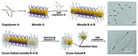 Serving the chemical, life science, and laboratory worlds