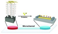 Serving the chemical, life science, and laboratory worlds