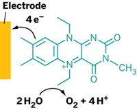 Serving the chemical, life science, and laboratory worlds