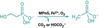 Serving the chemical, life science, and laboratory worlds