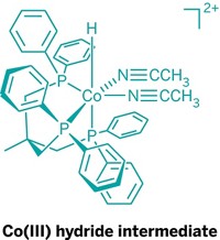 Serving the chemical, life science, and laboratory worlds